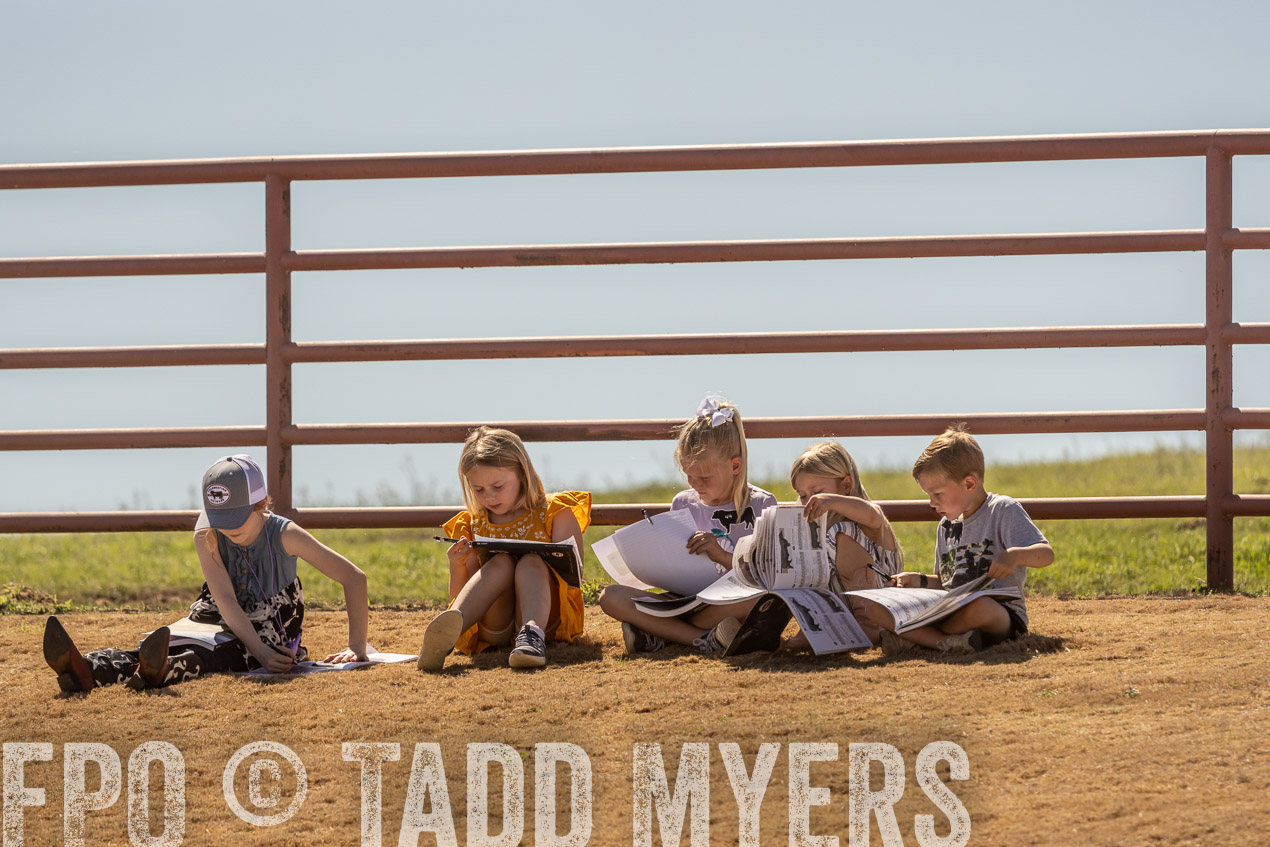 TMyers_SpringBullSale_Cameron_Feb2024-522824