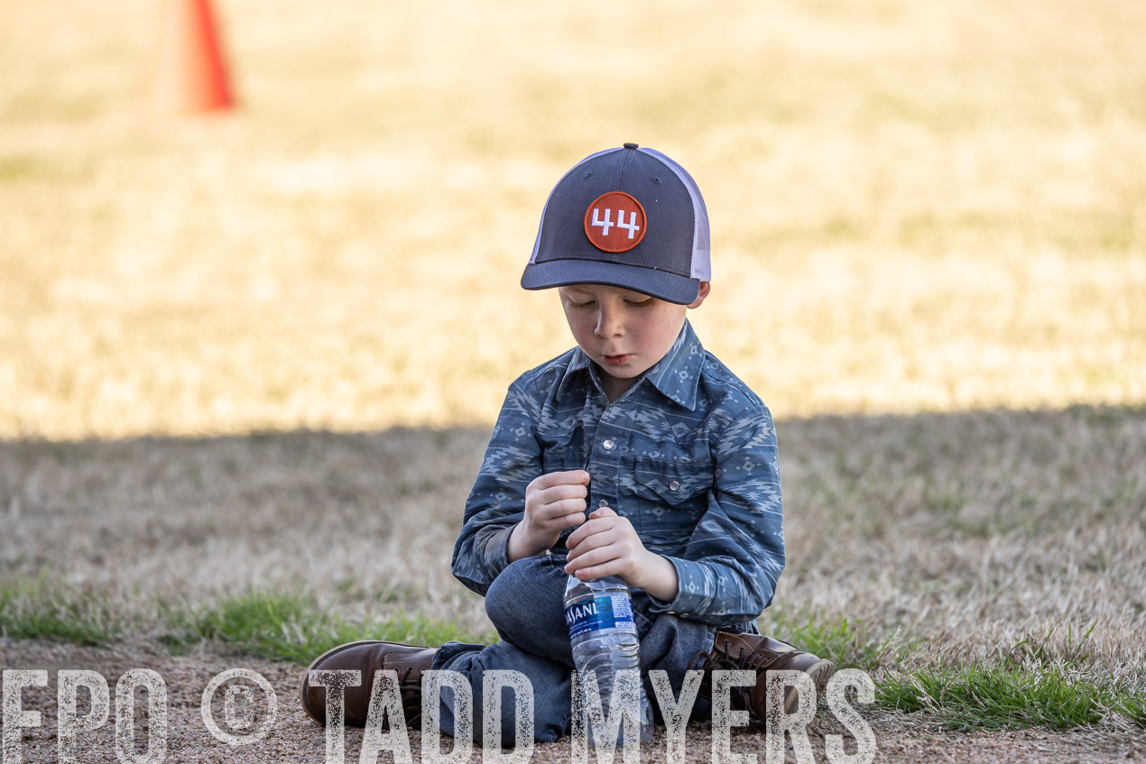 TMyers_SpringBullSale_Cameron_Feb2024-522842