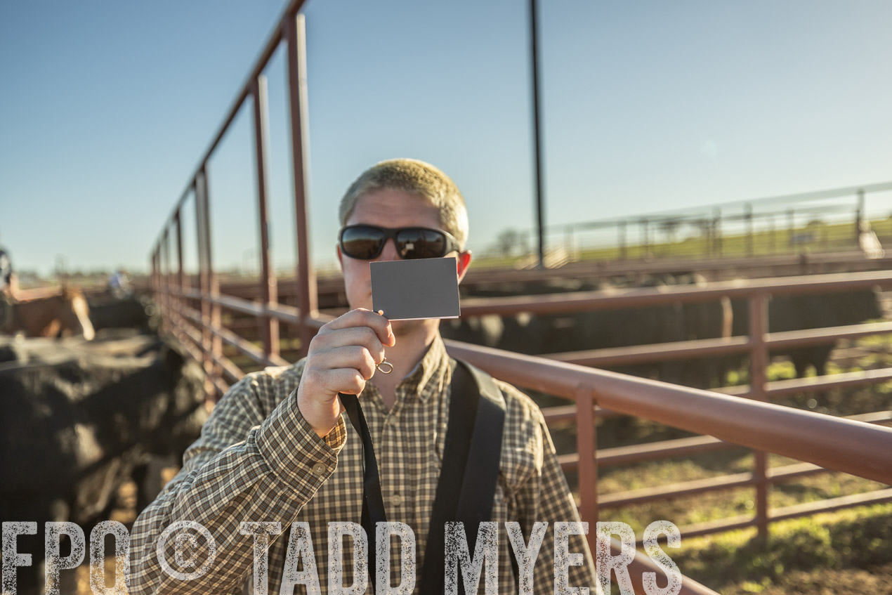 TMyers_SpringBullSale_Cameron_Feb2024-522912