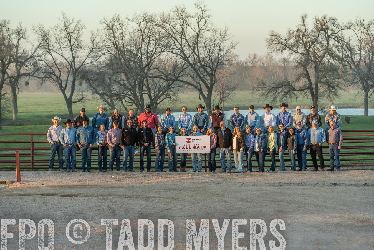TMyers_SpringBullSale_Cameron_Feb2024-522991