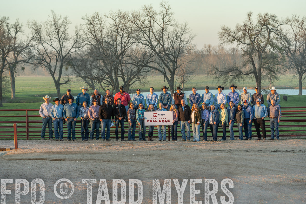 TMyers_SpringBullSale_Cameron_Feb2024-522992