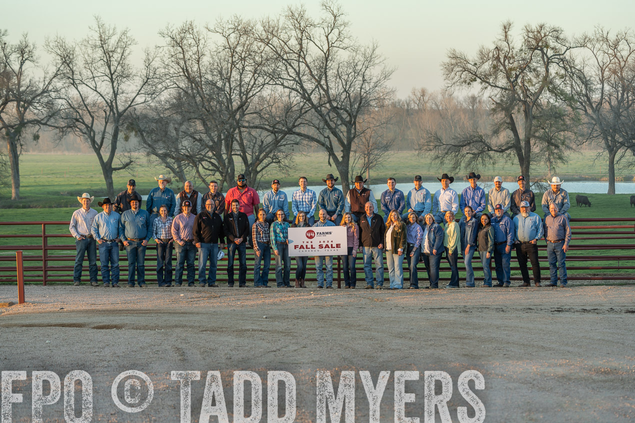 TMyers_SpringBullSale_Cameron_Feb2024-523008