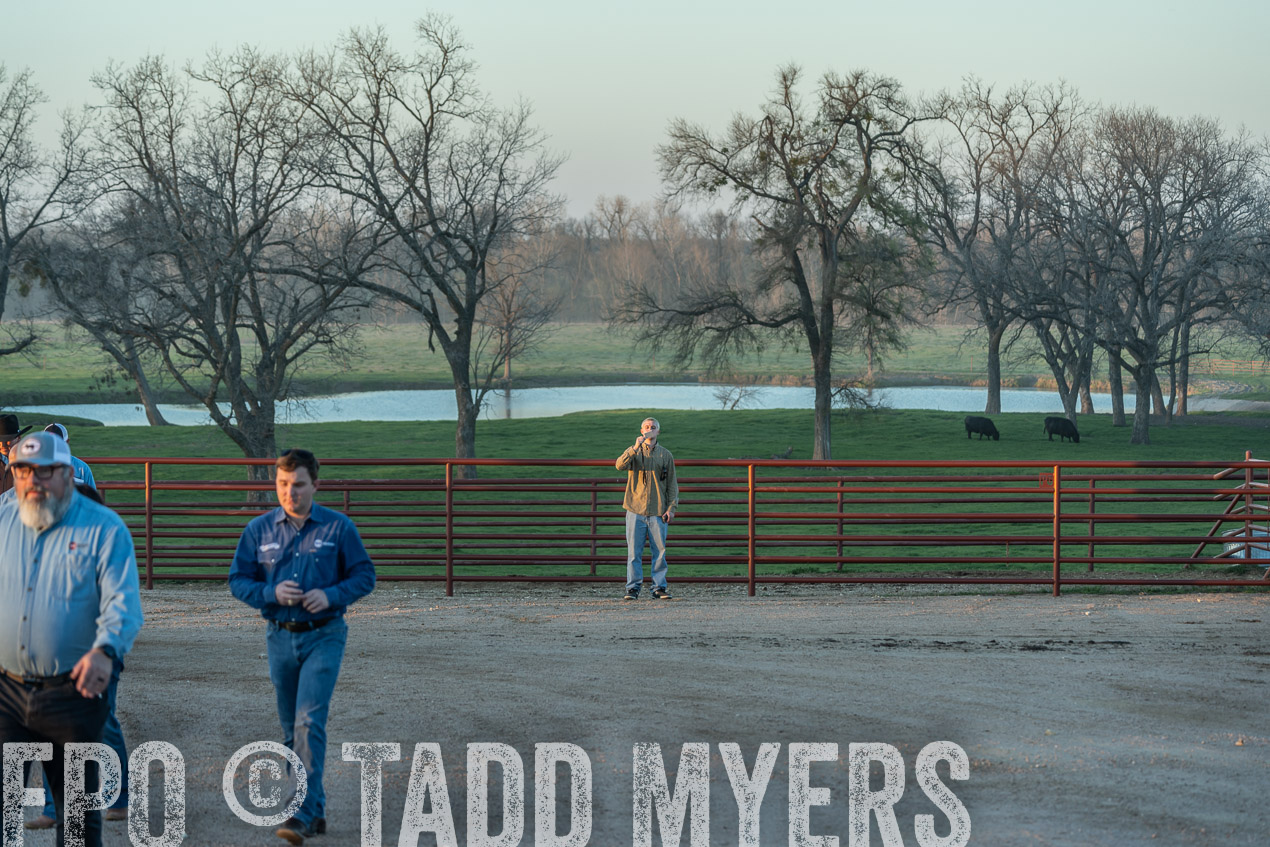 TMyers_SpringBullSale_Cameron_Feb2024-523018