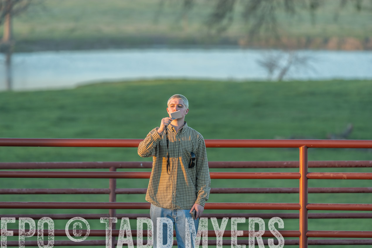 TMyers_SpringBullSale_Cameron_Feb2024-523020