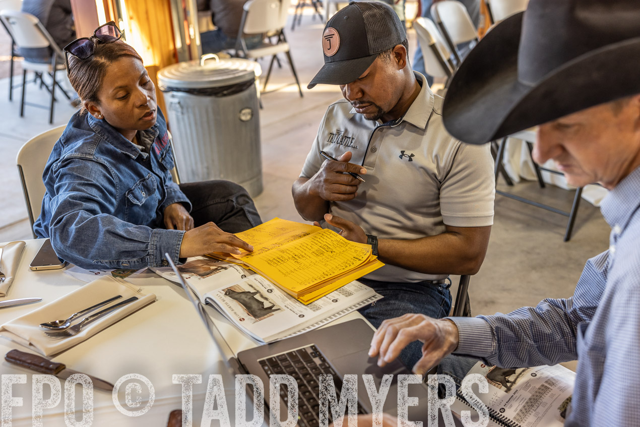 TMyers_SpringBullSale_Cameron_Feb2024-511228