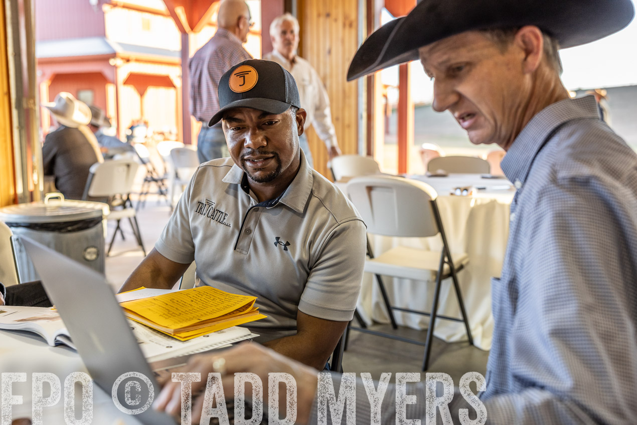 TMyers_SpringBullSale_Cameron_Feb2024-511241