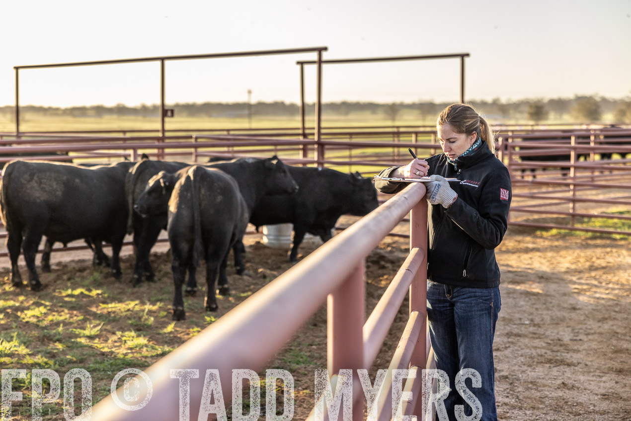 TMyers_SpringBullSale_Cameron_Feb2024-511964