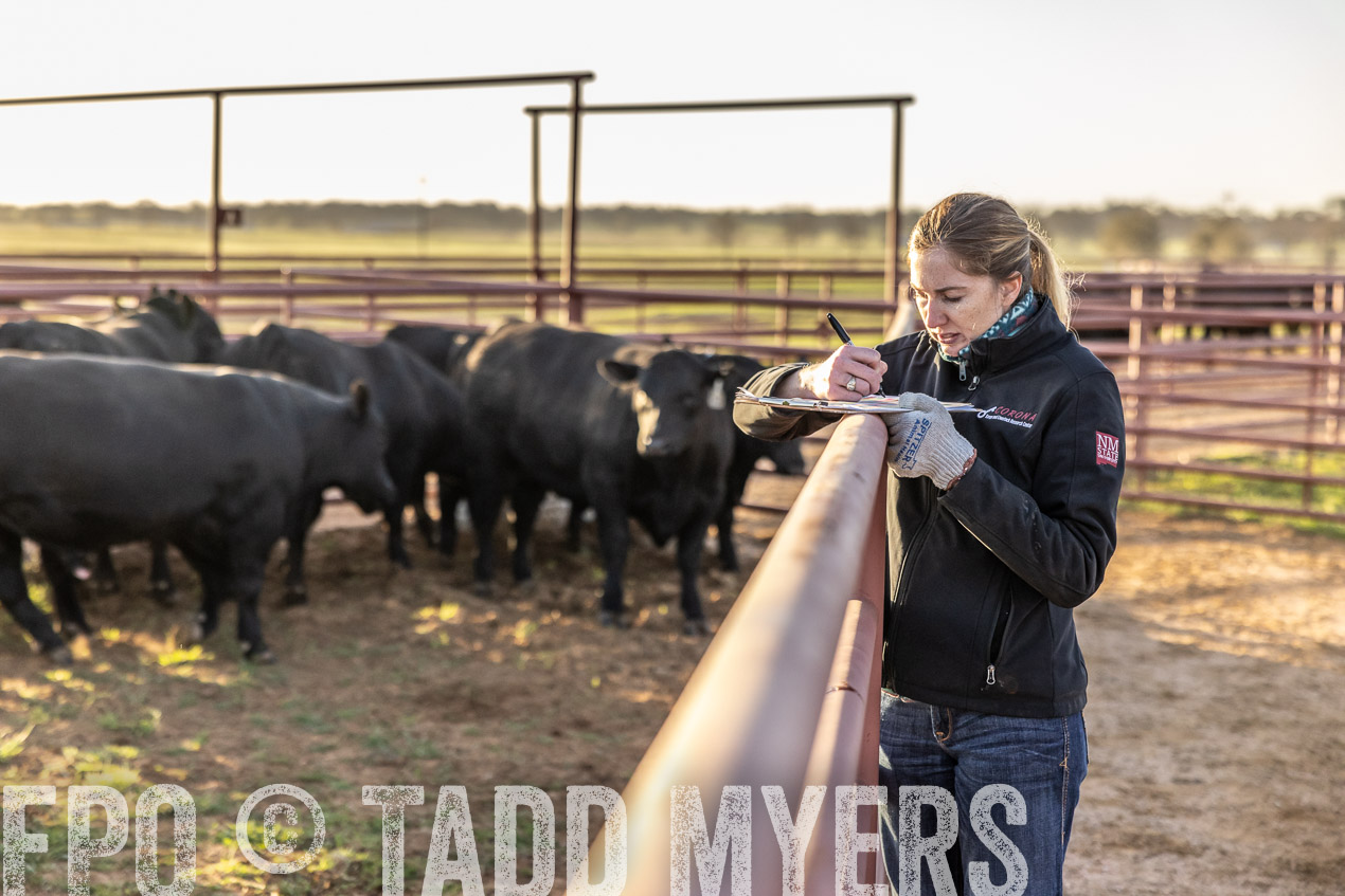 TMyers_SpringBullSale_Cameron_Feb2024-511974