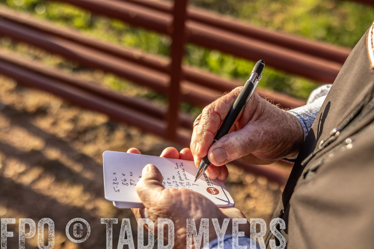 TMyers_SpringBullSale_Cameron_Feb2024-512040