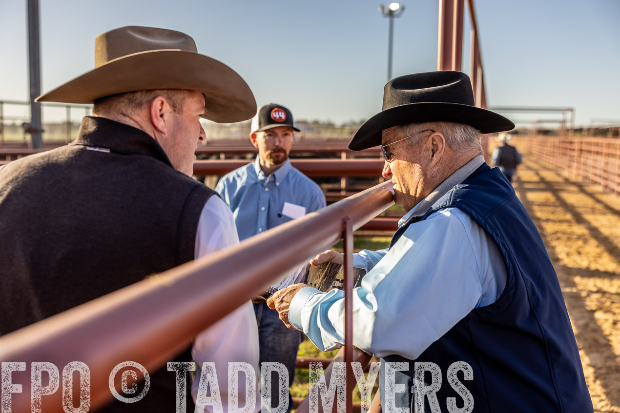 TMyers_SpringBullSale_Cameron_Feb2024-512093