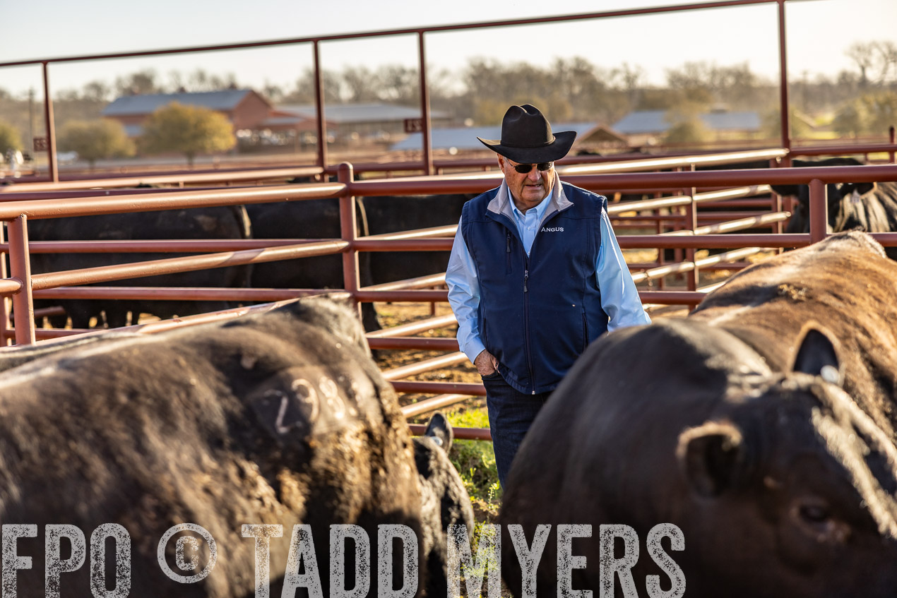 TMyers_SpringBullSale_Cameron_Feb2024-512181