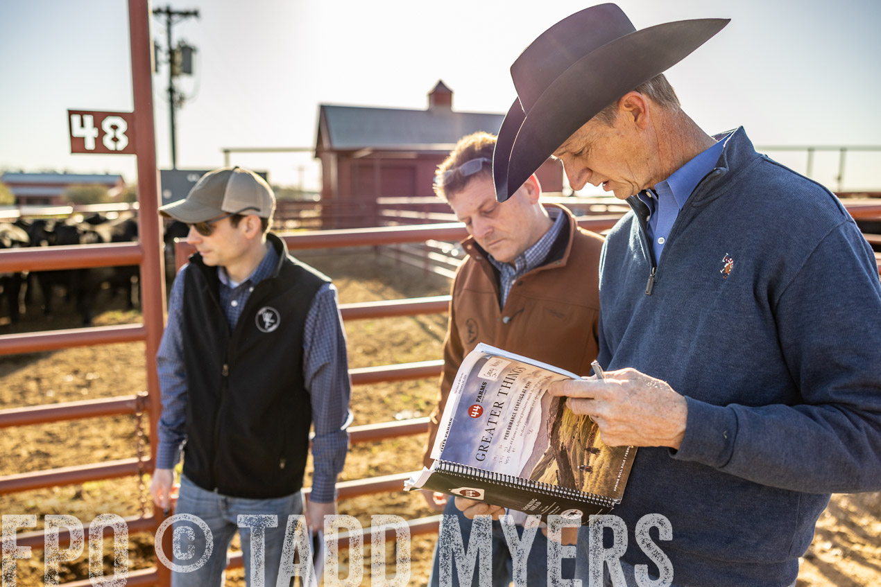 TMyers_SpringBullSale_Cameron_Feb2024-512291