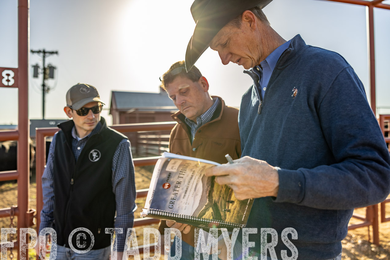 TMyers_SpringBullSale_Cameron_Feb2024-512296