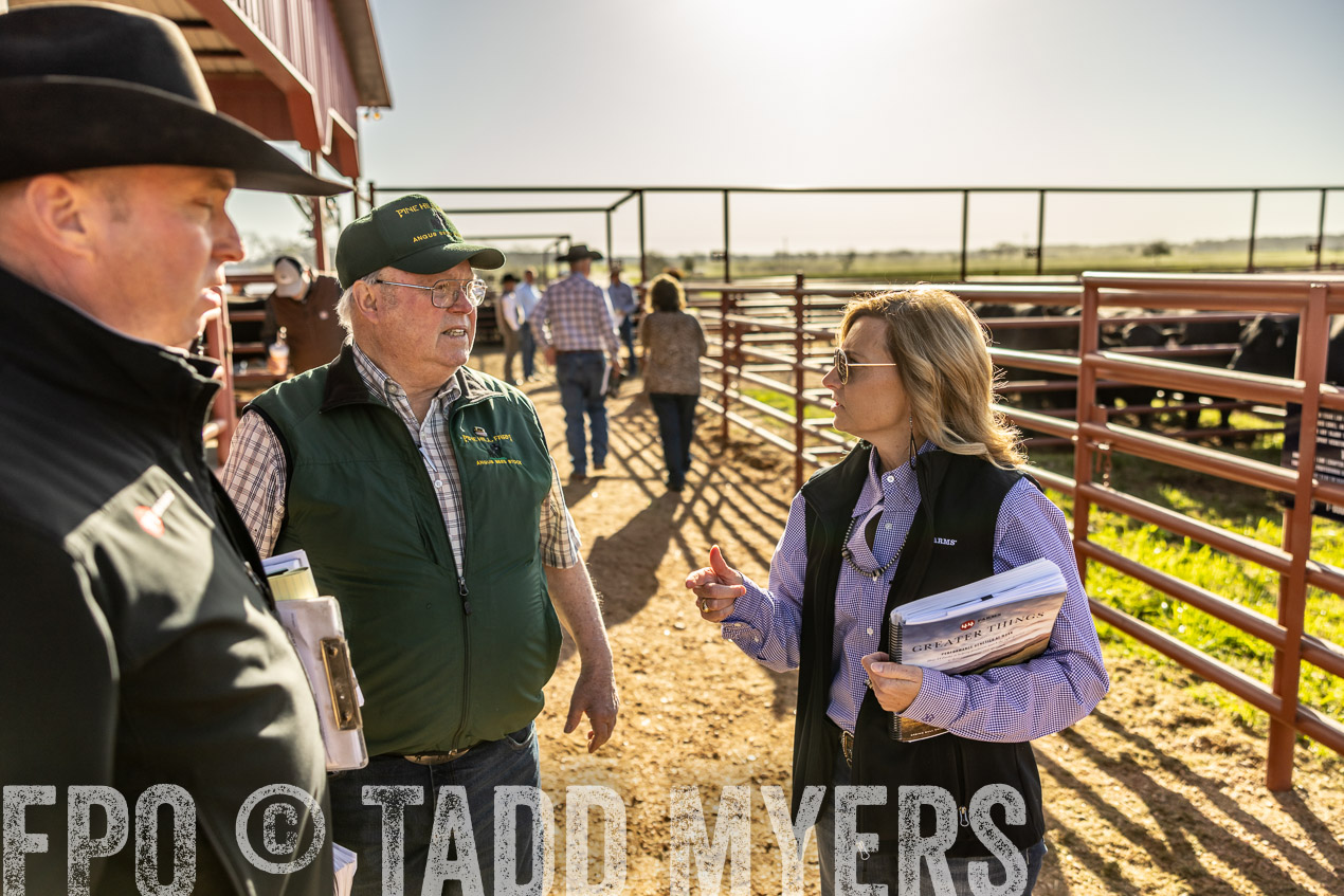 TMyers_SpringBullSale_Cameron_Feb2024-512432