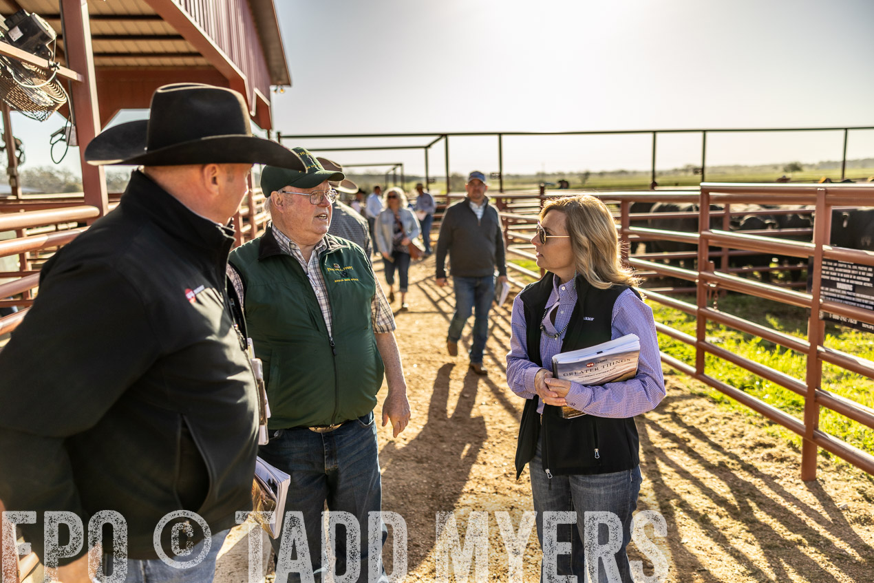 TMyers_SpringBullSale_Cameron_Feb2024-512456