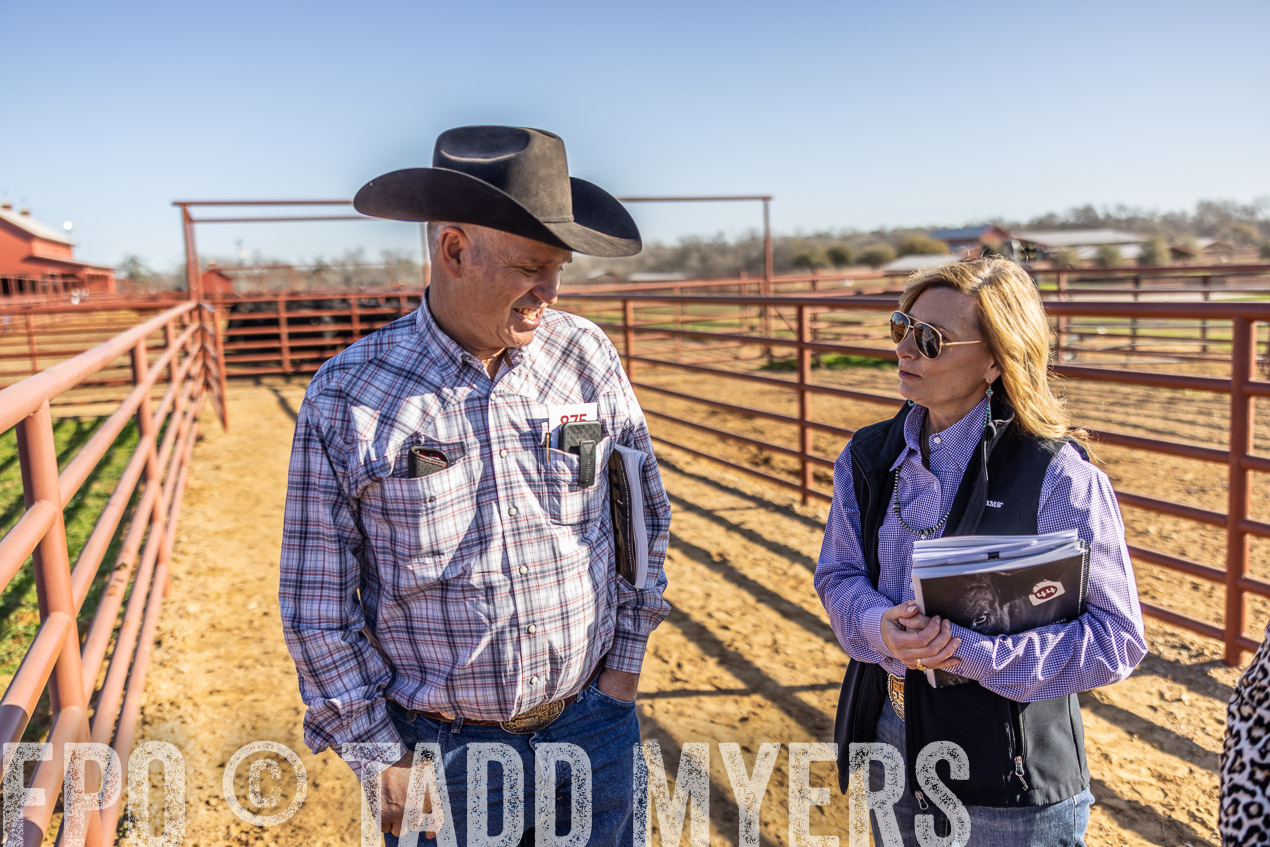 TMyers_SpringBullSale_Cameron_Feb2024-512570