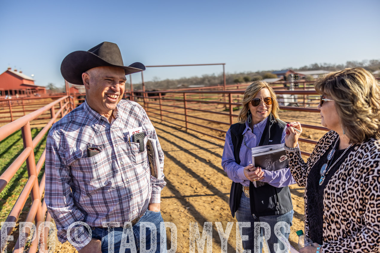 TMyers_SpringBullSale_Cameron_Feb2024-512576