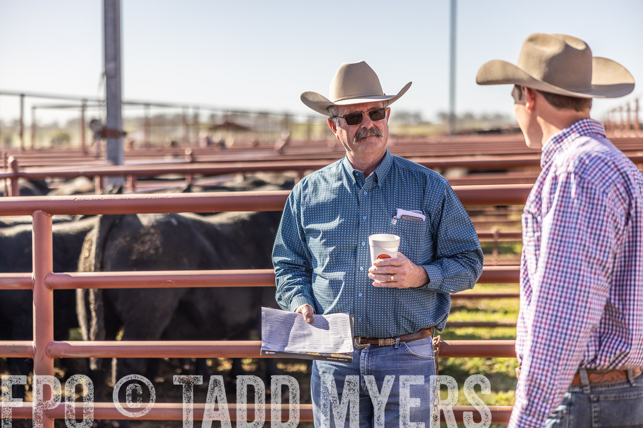 TMyers_SpringBullSale_Cameron_Feb2024-512675