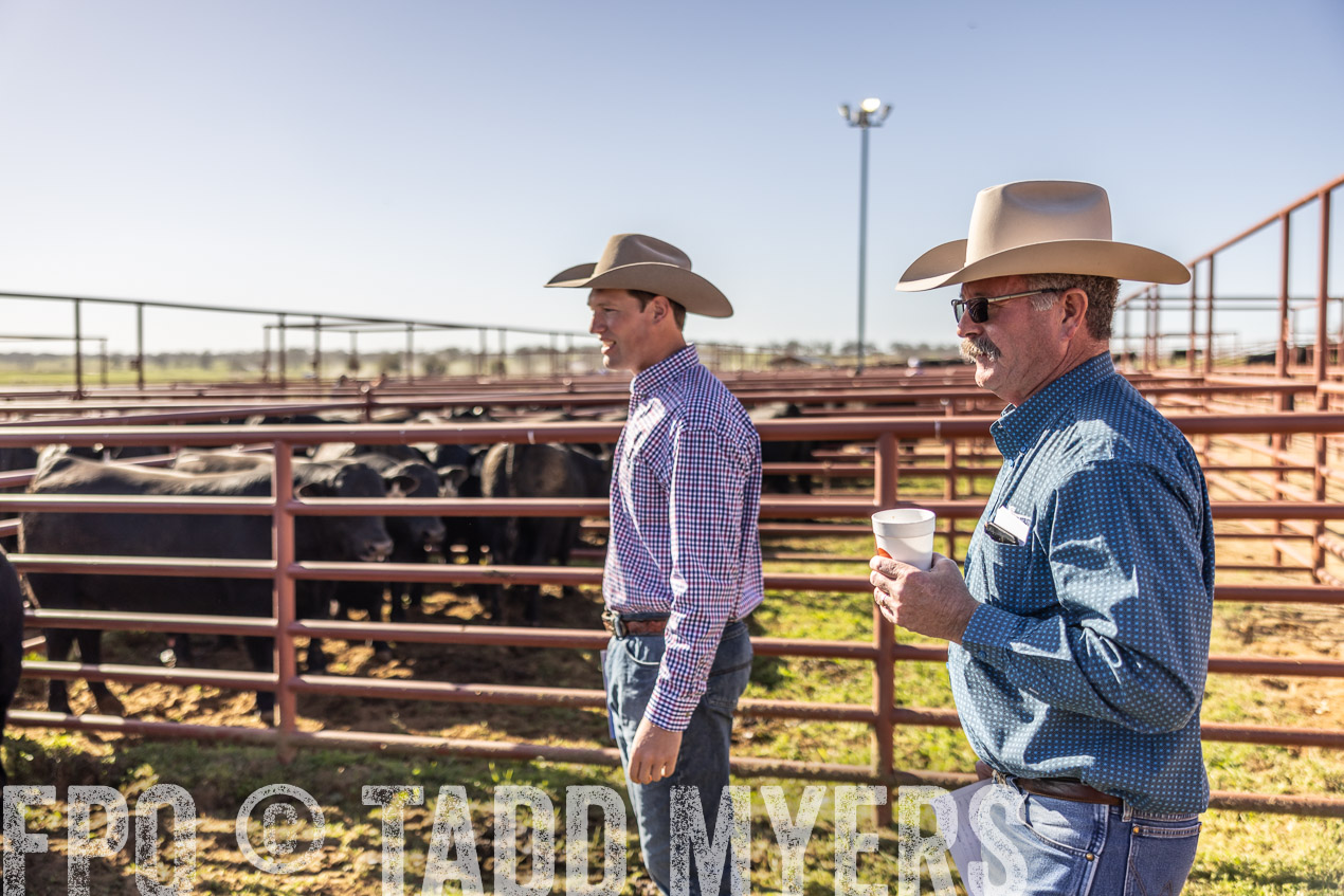 TMyers_SpringBullSale_Cameron_Feb2024-512710