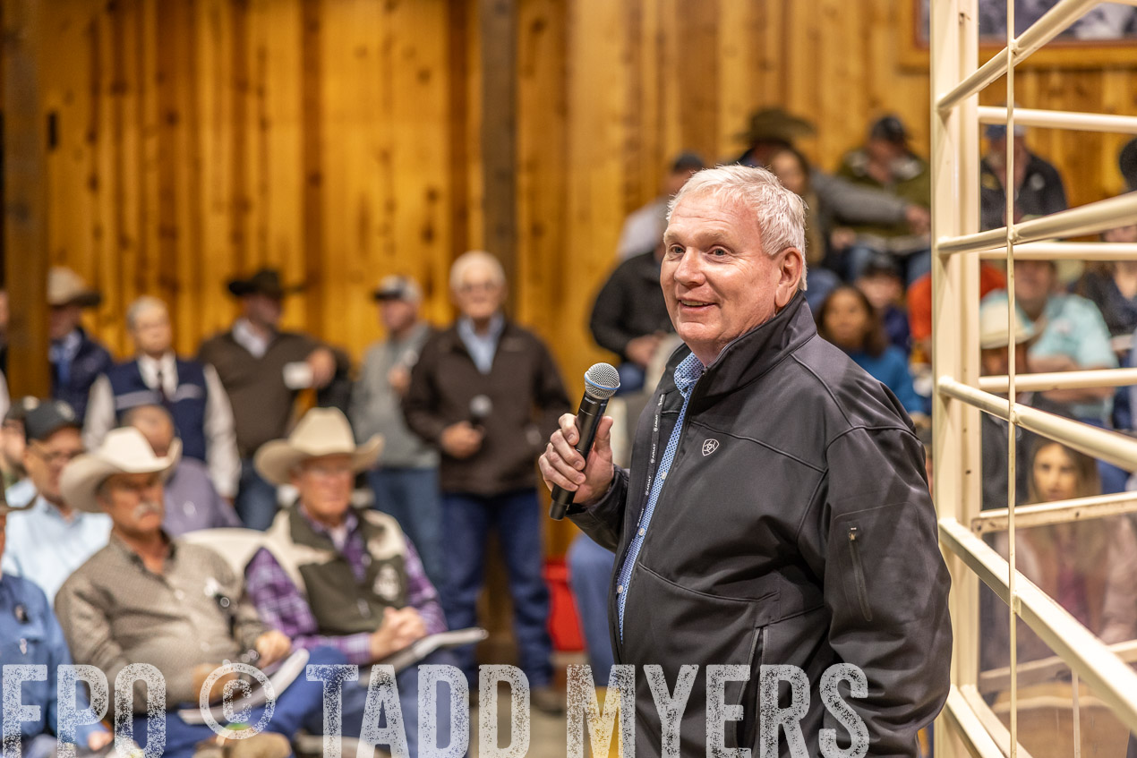 TMyers_SpringBullSale_Cameron_Feb2024-512742