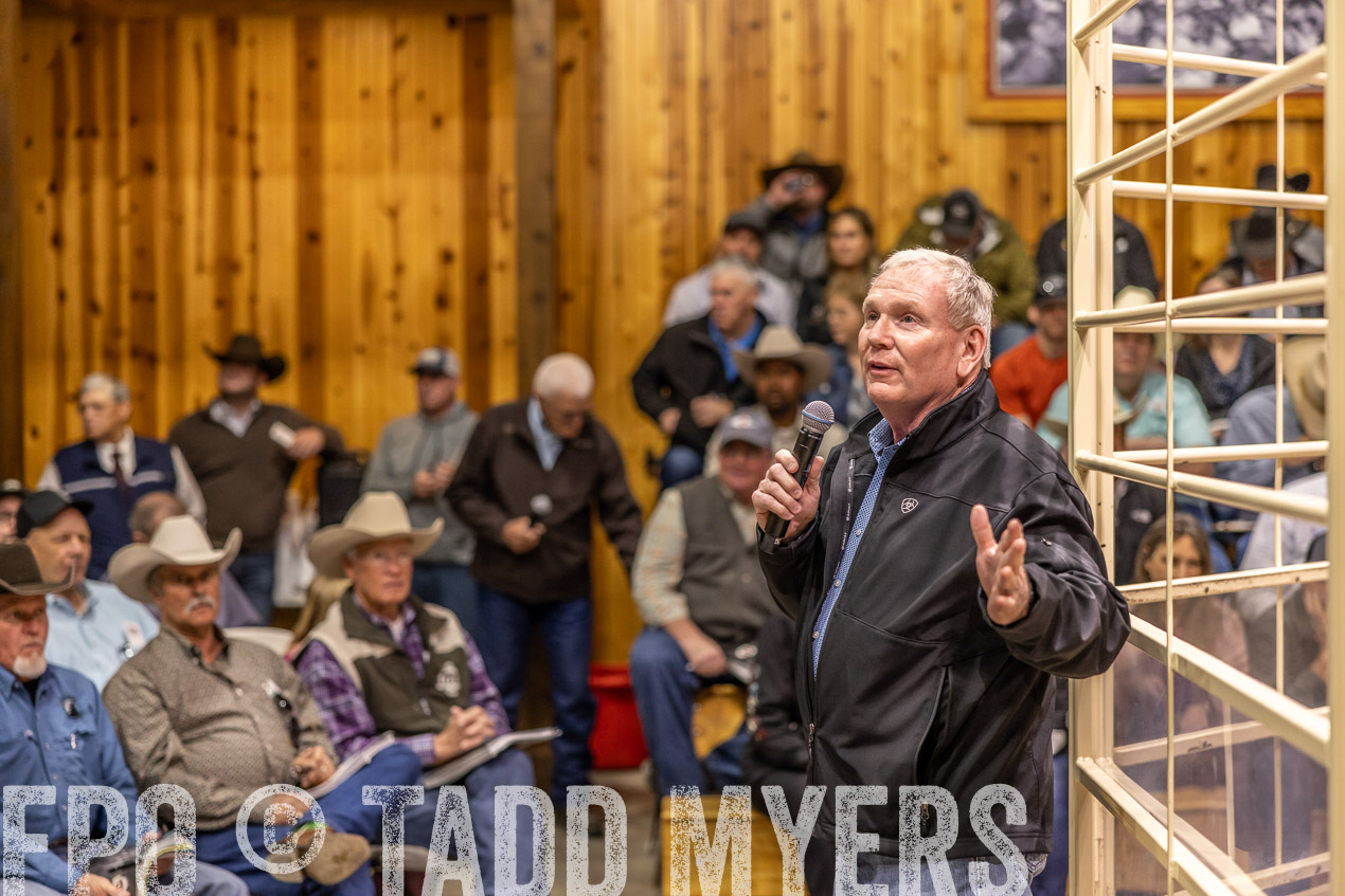 TMyers_SpringBullSale_Cameron_Feb2024-512751
