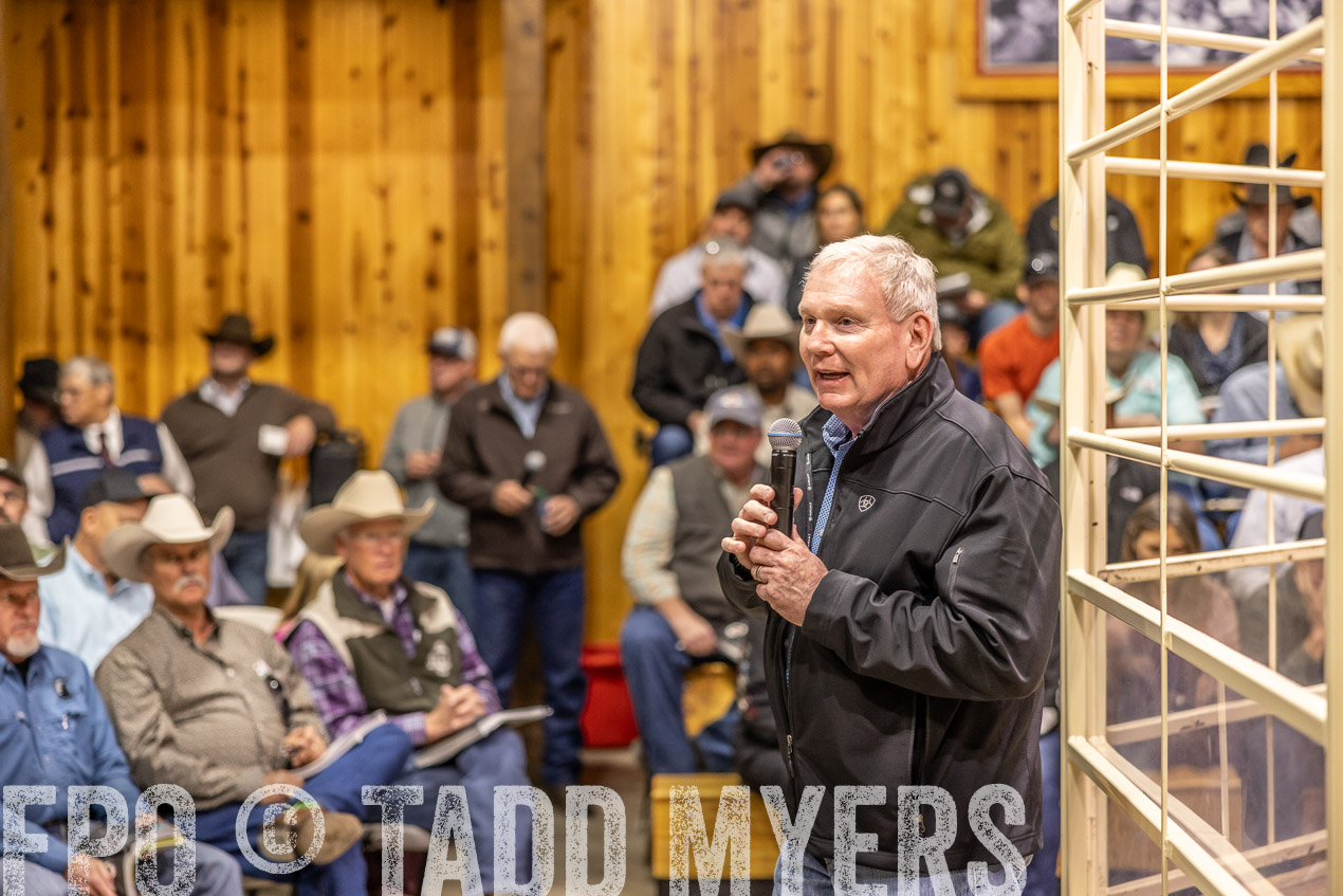 TMyers_SpringBullSale_Cameron_Feb2024-512755