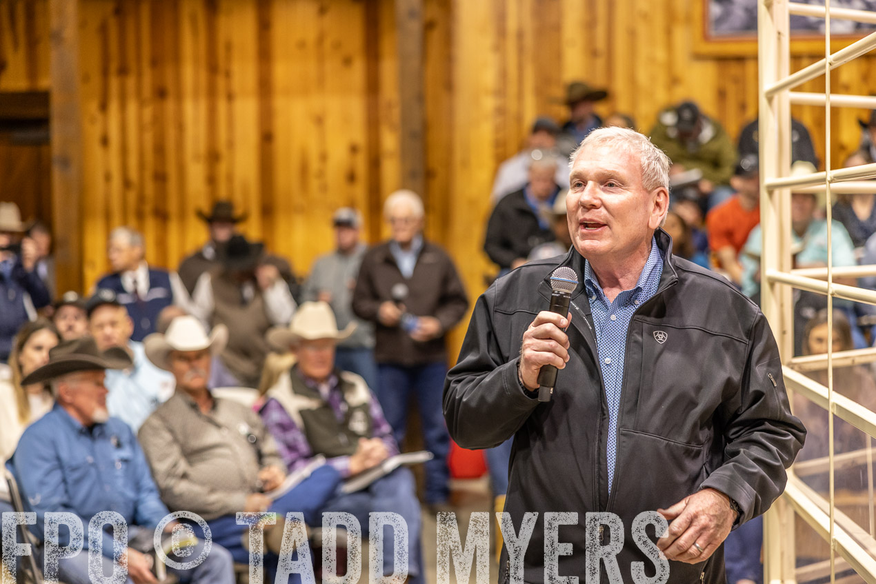 TMyers_SpringBullSale_Cameron_Feb2024-512758