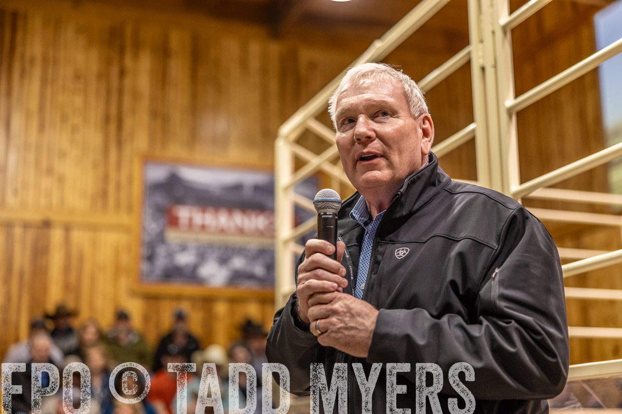 TMyers_SpringBullSale_Cameron_Feb2024-512791