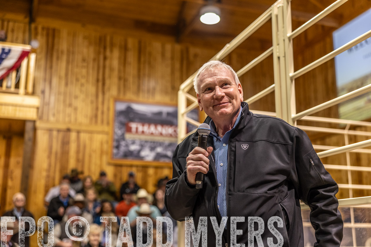 TMyers_SpringBullSale_Cameron_Feb2024-512798