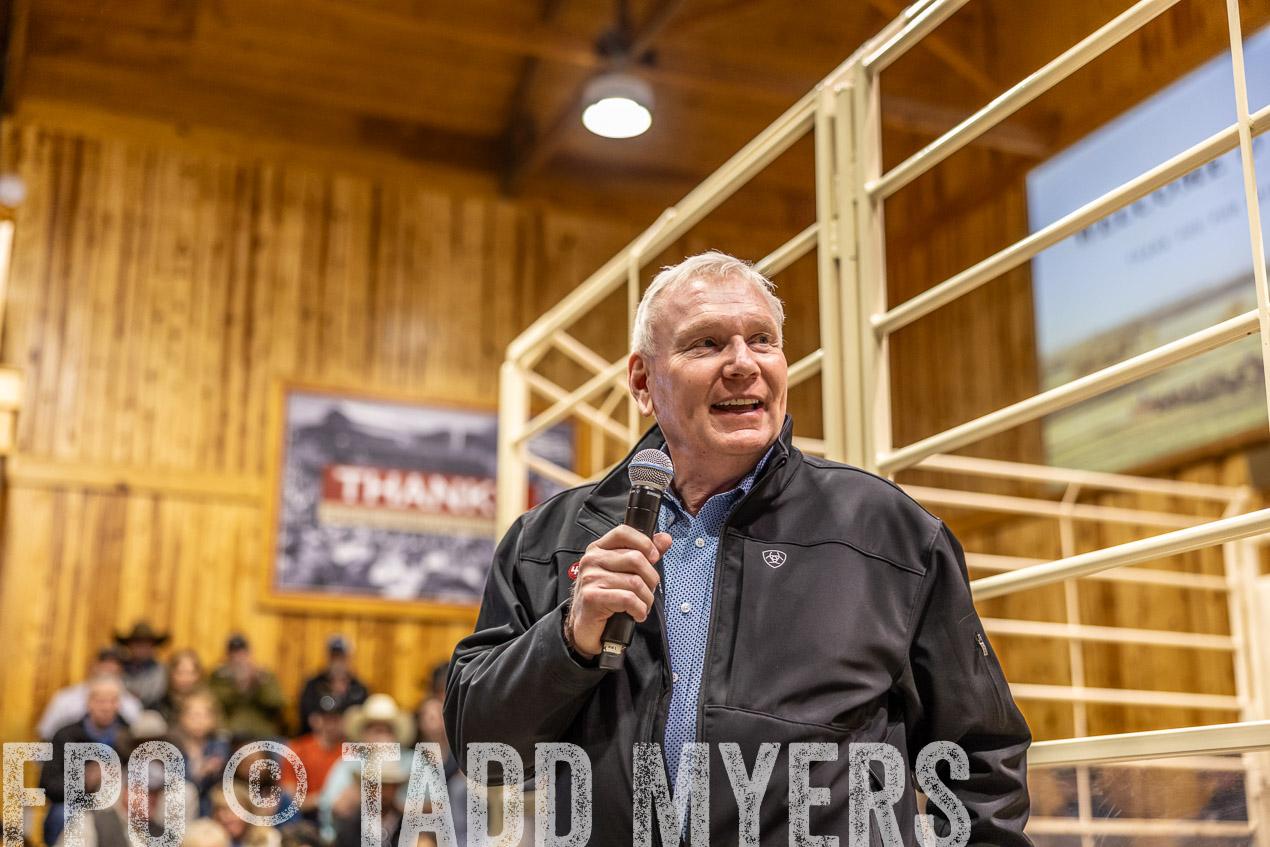 TMyers_SpringBullSale_Cameron_Feb2024-512803