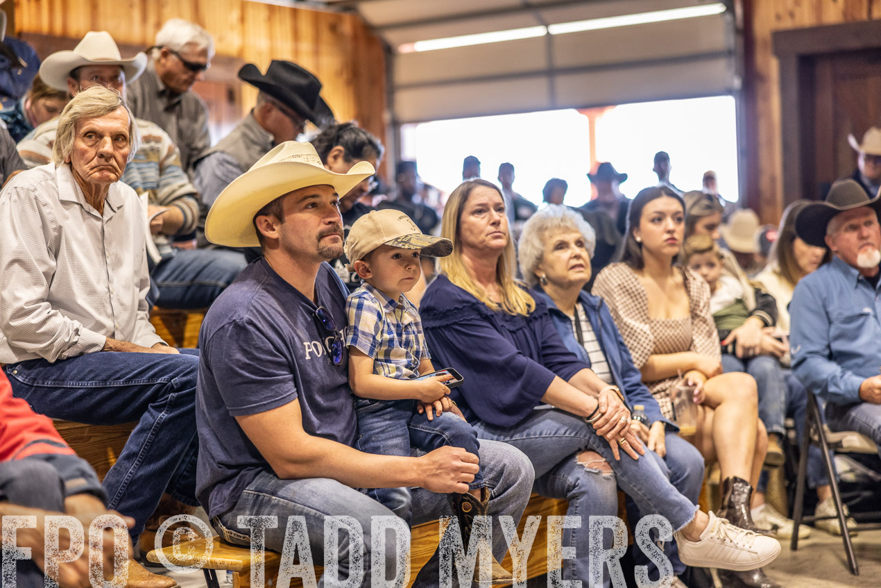 TMyers_SpringBullSale_Cameron_Feb2024-512816