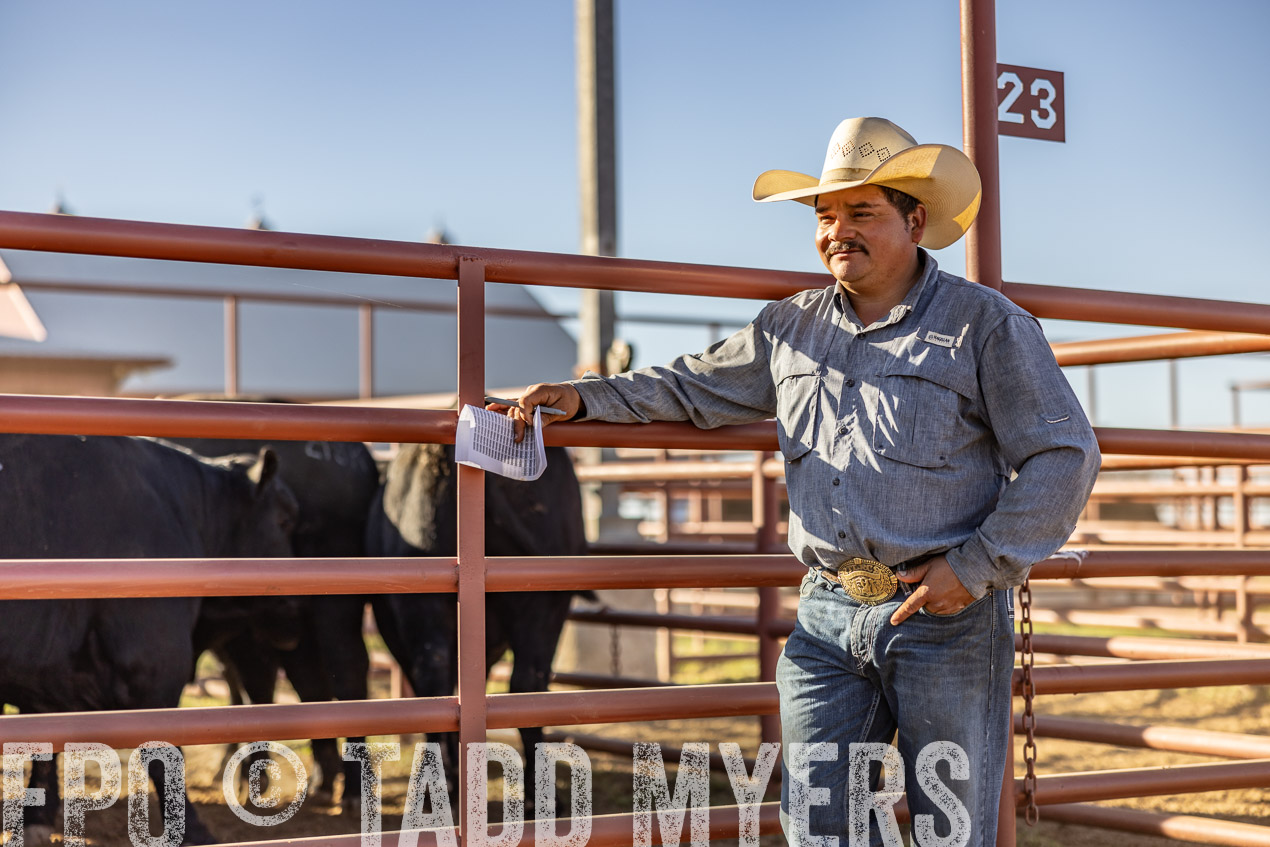 TMyers_SpringBullSale_Cameron_Feb2024-512893