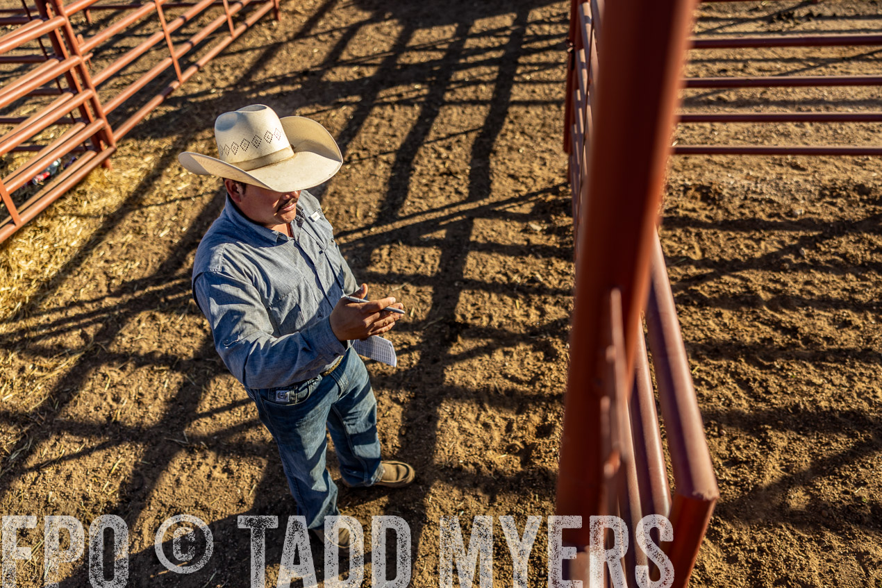 TMyers_SpringBullSale_Cameron_Feb2024-513006