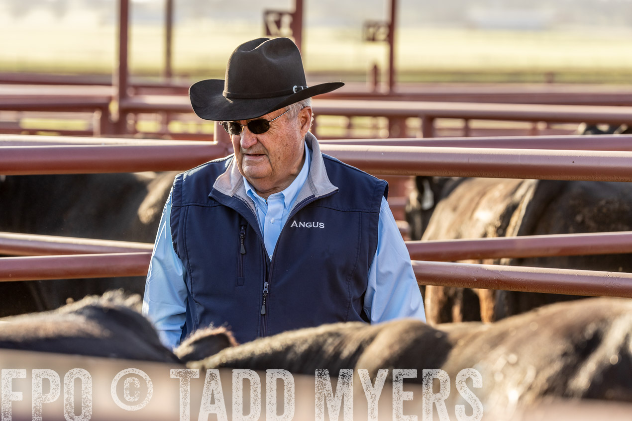 TMyers_SpringBullSale_Cameron_Feb2024-520027