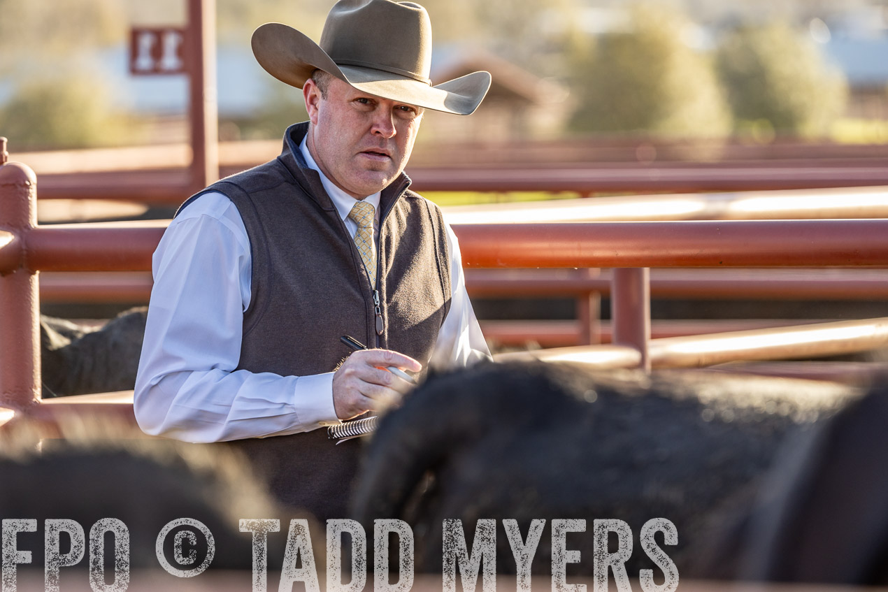 TMyers_SpringBullSale_Cameron_Feb2024-520055