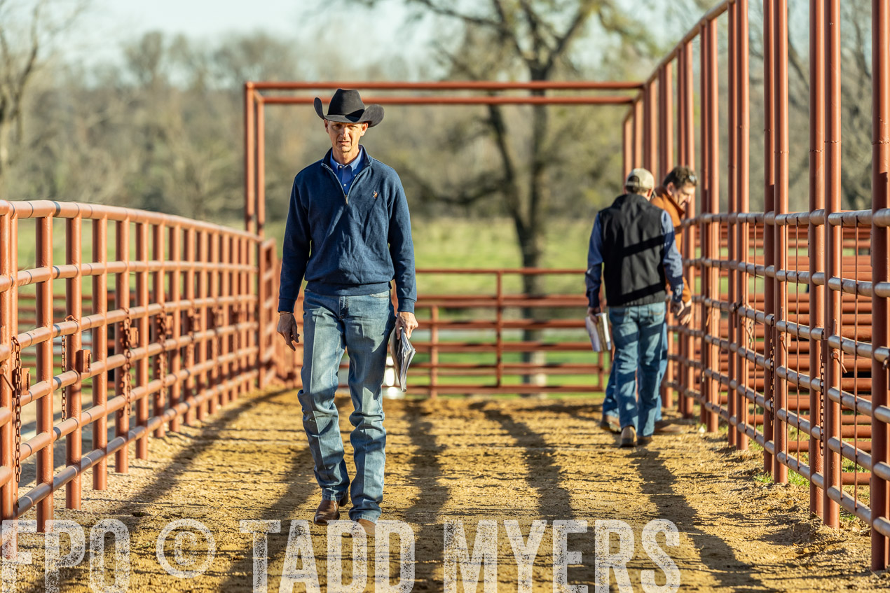 TMyers_SpringBullSale_Cameron_Feb2024-520135