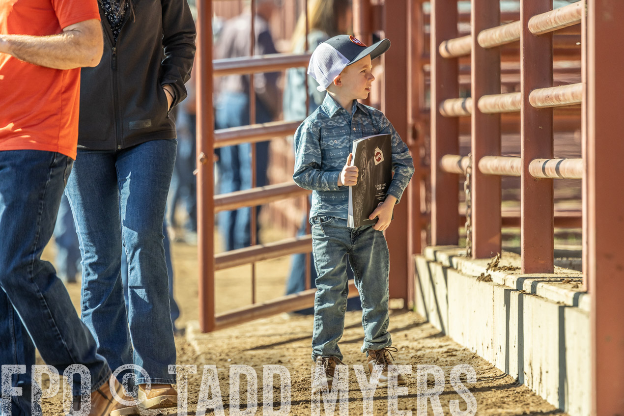 TMyers_SpringBullSale_Cameron_Feb2024-520193