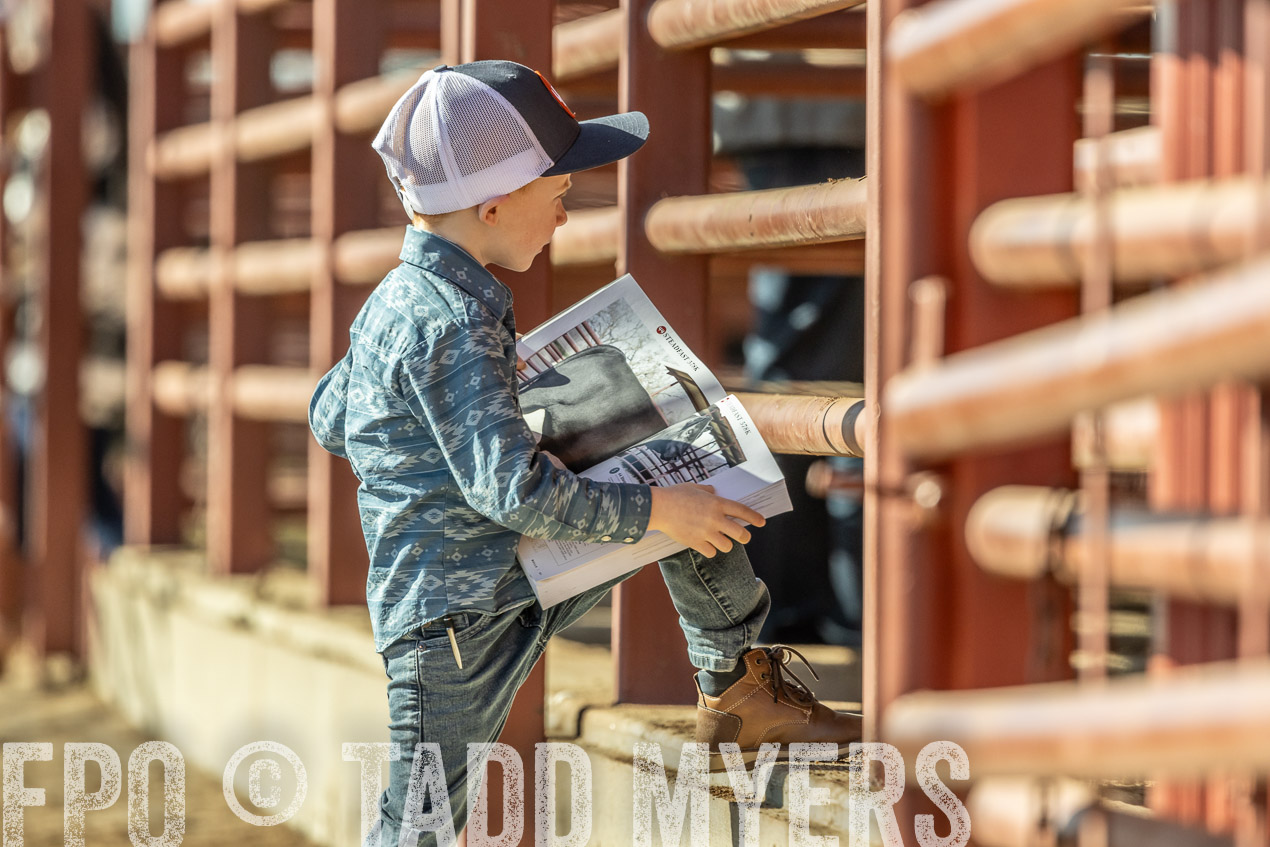 TMyers_SpringBullSale_Cameron_Feb2024-520220