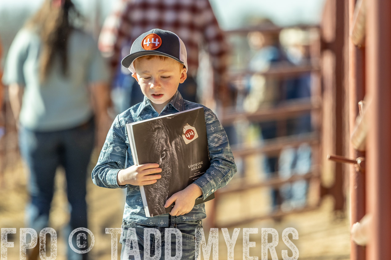 TMyers_SpringBullSale_Cameron_Feb2024-520253