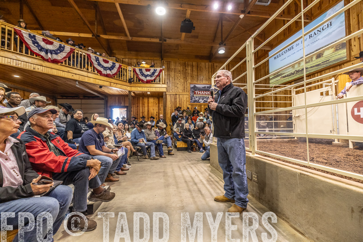 TMyers_SpringBullSale_Cameron_Feb2024-520274