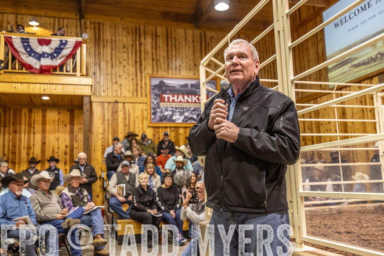 TMyers_SpringBullSale_Cameron_Feb2024-520279