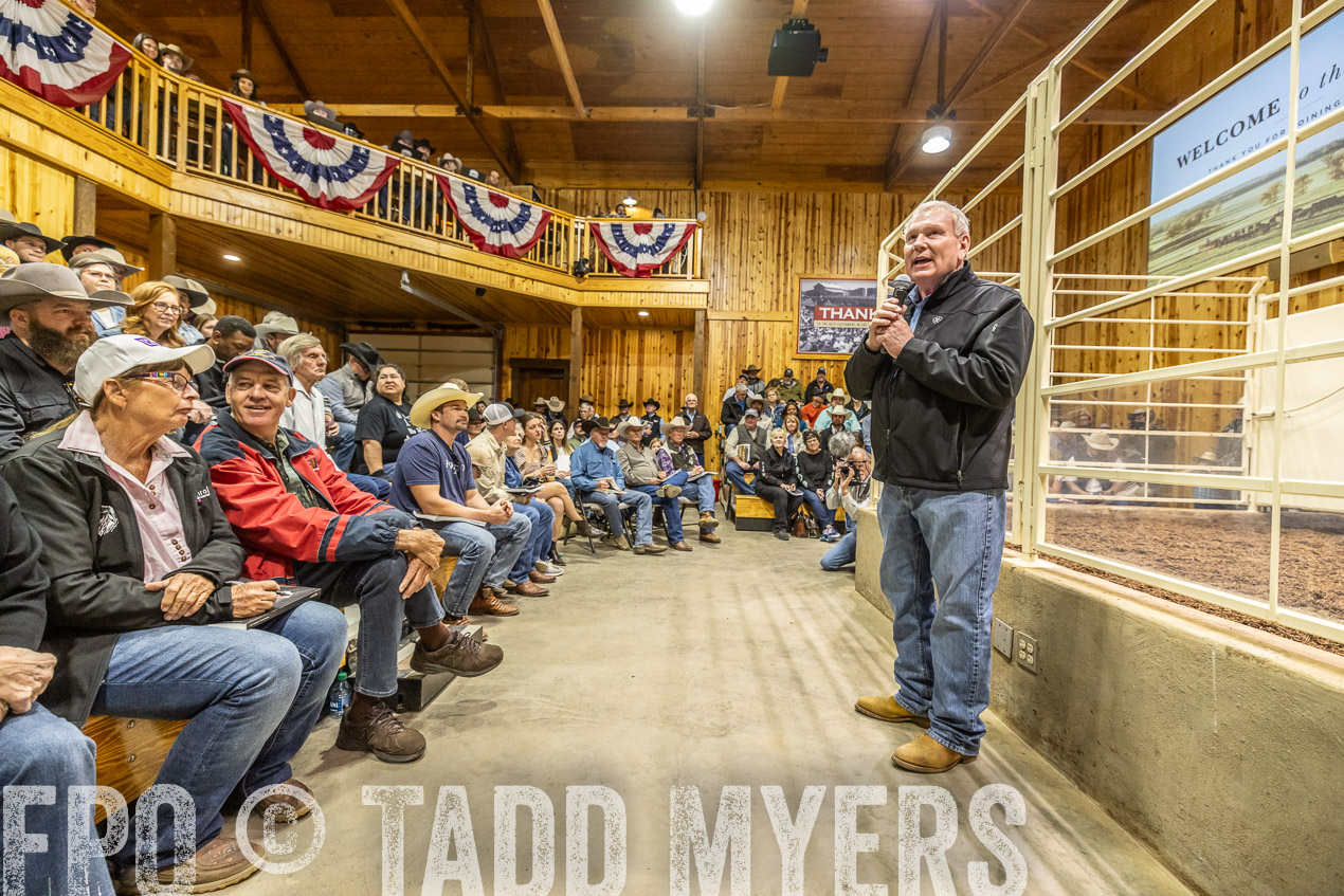 TMyers_SpringBullSale_Cameron_Feb2024-520288
