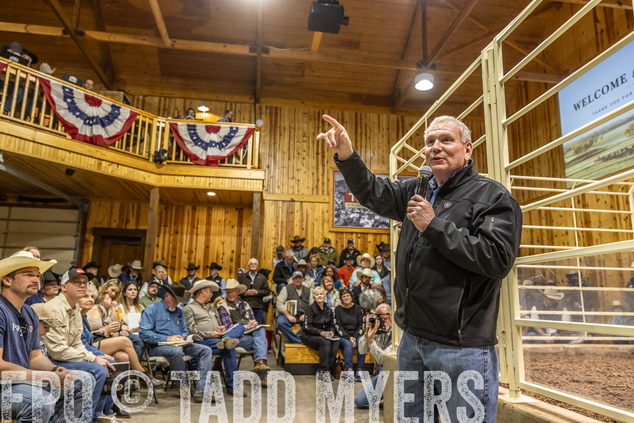 TMyers_SpringBullSale_Cameron_Feb2024-520313