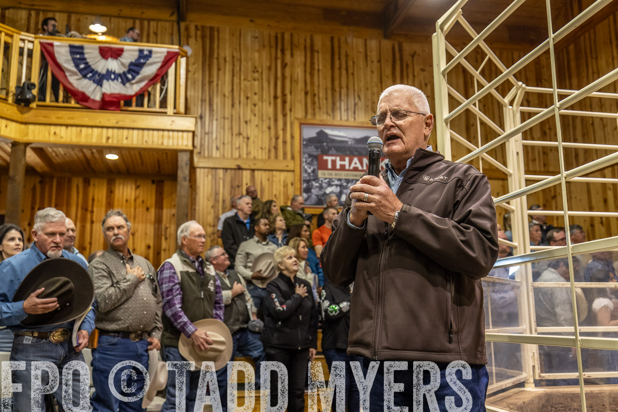 TMyers_SpringBullSale_Cameron_Feb2024-520345