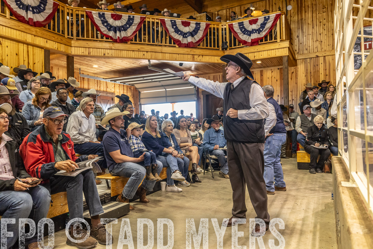 TMyers_SpringBullSale_Cameron_Feb2024-520594