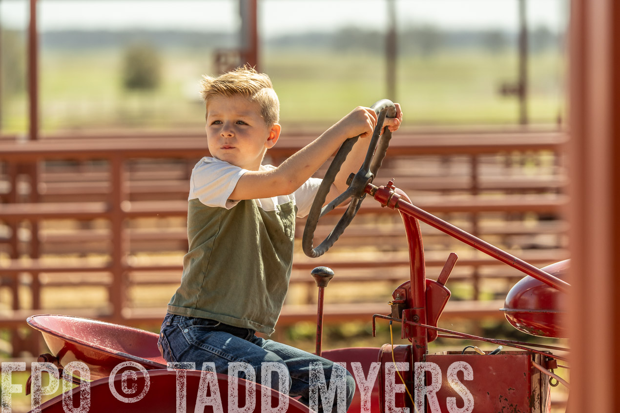 TMyers_SpringBullSale_Cameron_Feb2024-520803