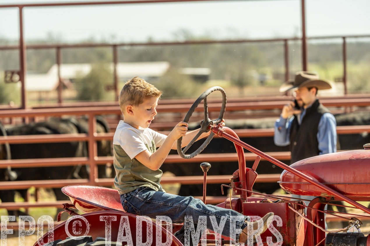 TMyers_SpringBullSale_Cameron_Feb2024-520815