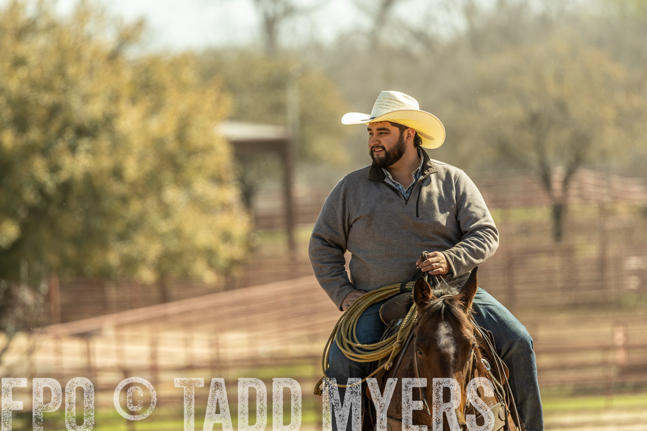 TMyers_SpringBullSale_Cameron_Feb2024-520915