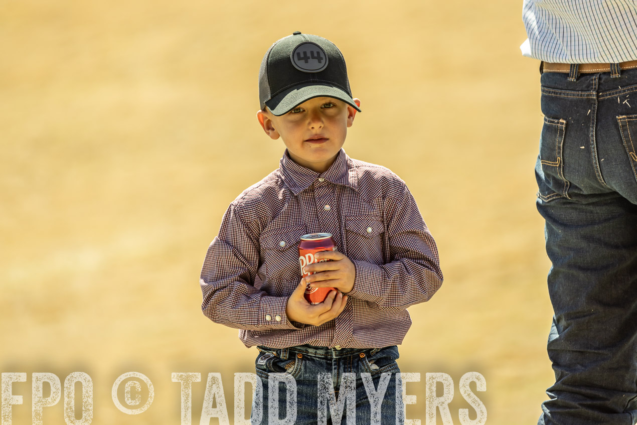 TMyers_SpringBullSale_Cameron_Feb2024-521092
