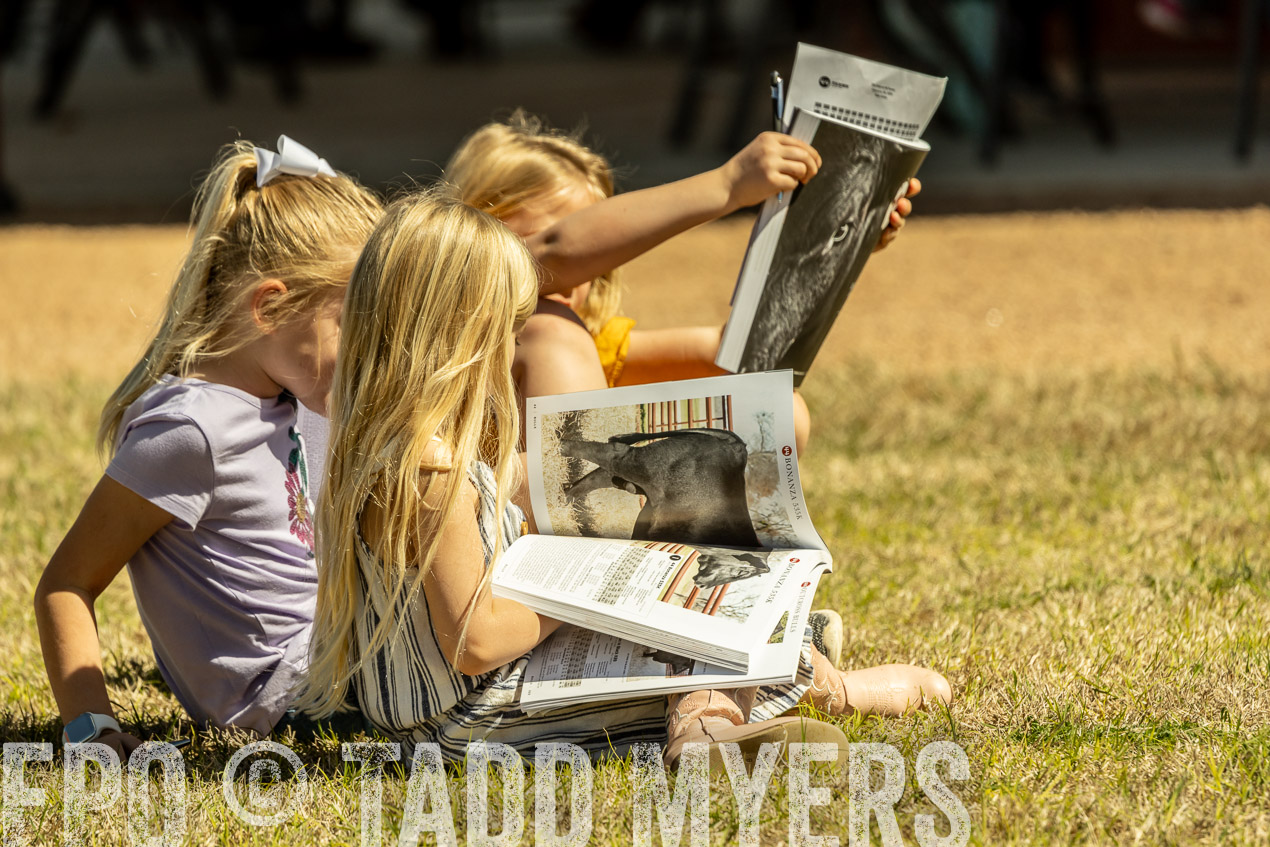 TMyers_SpringBullSale_Cameron_Feb2024-521118